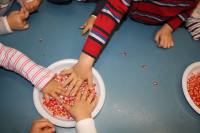laboratorio melograno